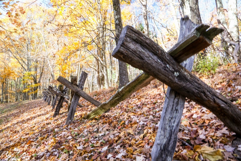 Split Rails